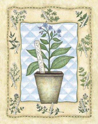 Framed Borage Print