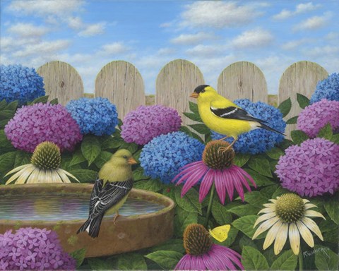 Framed Goldfinches Print