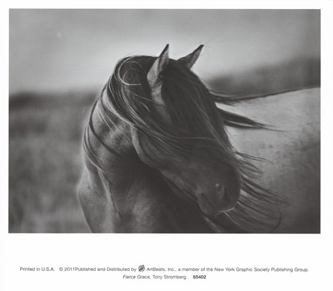 Framed Fierce Grace Print