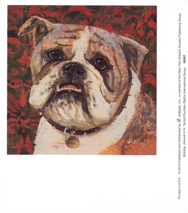 Framed Bulldog Print
