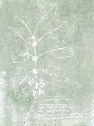 Framed Essential Botanicals I Print