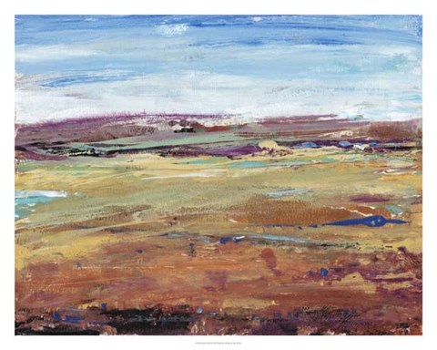 Framed Terra Vista I Print