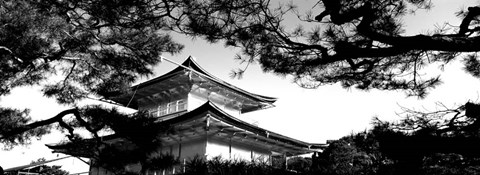 Framed Low angle view of trees in front of a temple, Kinkaku-ji Temple, Kyoto City, Japan Print