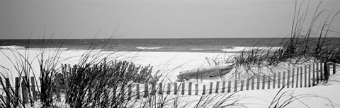 Framed Fence on the beach, Bon Secour National Wildlife Refuge, Bon Secour, Alabama Print