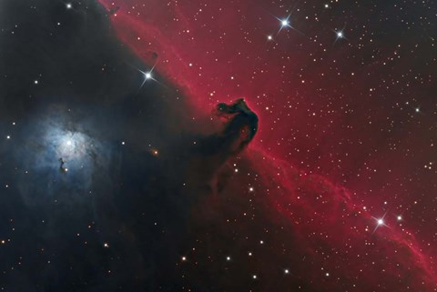 Framed Horsehead Nebula in the Constellation Orion Print