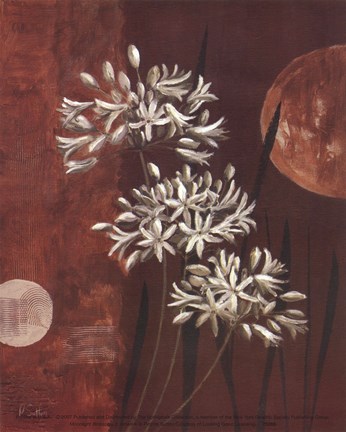 Framed Moonlight Blossoms II Print