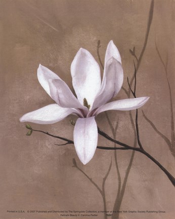 Framed Delicate Beauty II Print