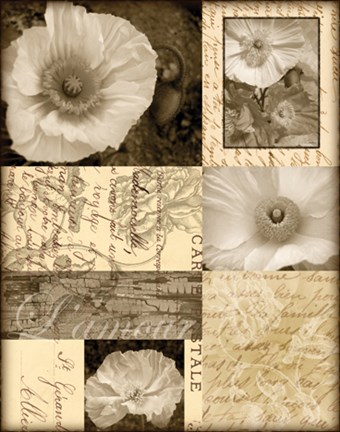 Framed Flora Carte Postale I Print