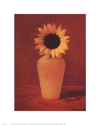 Framed Sunflower Still Life Print