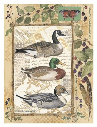 Framed 3 Ducks Print