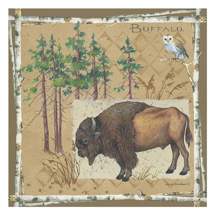 Framed Bison / Buffalo Print