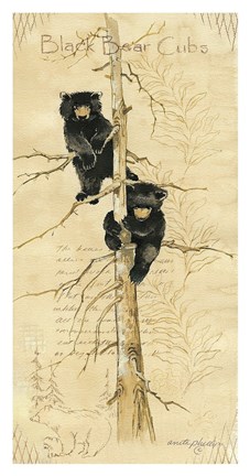 Framed Black Bears Cubs Print