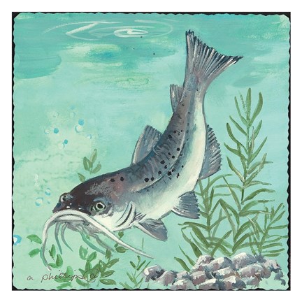 Framed Catfish Print