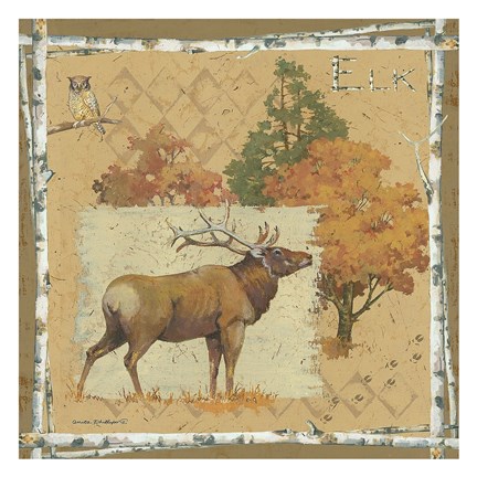 Framed Deer / Elk Print