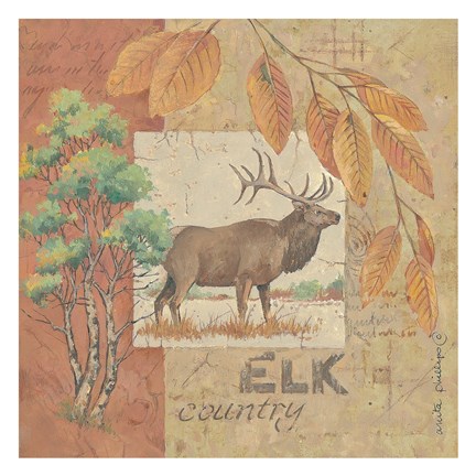 Framed Deer / Elk Country Print