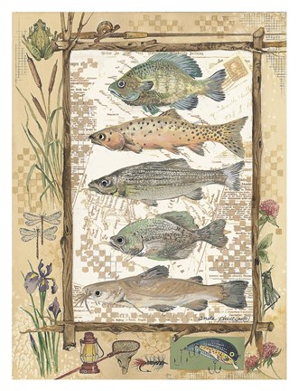 Framed Fish Sampler Print