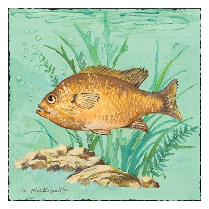 Framed Grumpy Fish Print