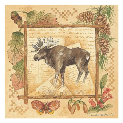 Framed Moose (rustic border) Print