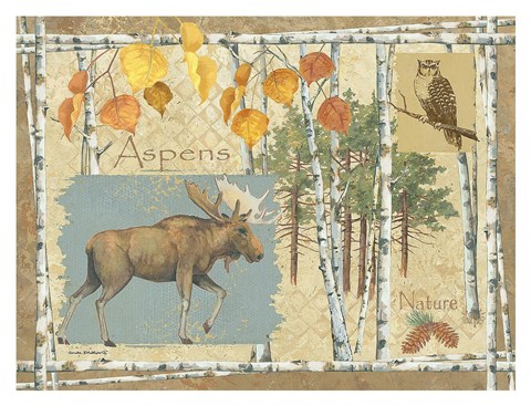 Framed Moose and Aspens Print