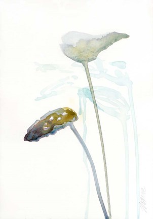 Framed Botanical Study I Print