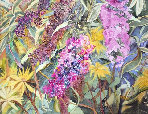 Framed Allans Garden Print