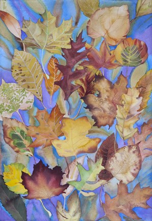 Framed Autumn Leaves V Print