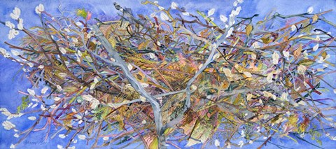 Framed Nest II Print