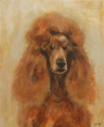 Framed Apricot Poodle Print