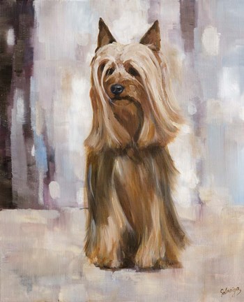 Framed Silky Terrier I Print