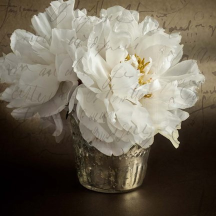 Framed Calligraphic Peony I Print