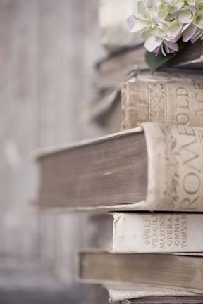 Framed Books Cameo I Print