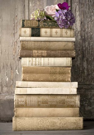 Framed Books II Print