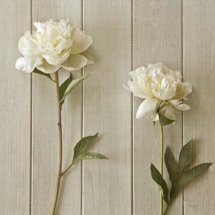 Framed Peonies Print