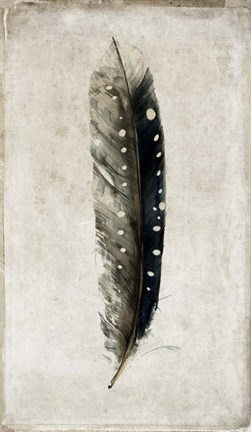 Framed Feather 2 Print