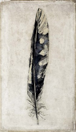 Framed Feather 3 Print