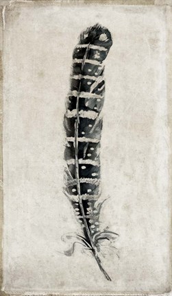 Framed Feather 4 Print