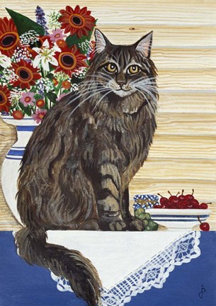 Framed Maine Coon Cat Print