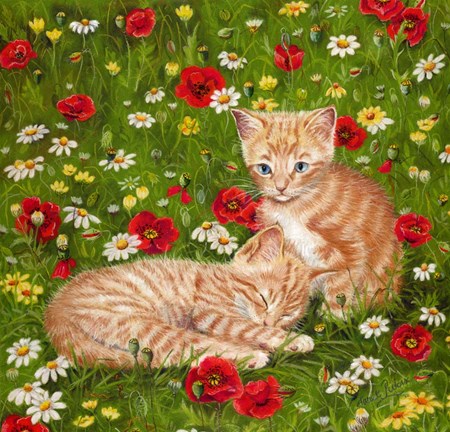 Framed Ginger Kittens In Red Poppies Print