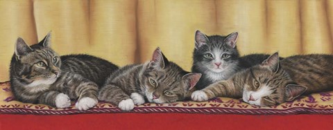 Framed Relaxing Tabbies Print