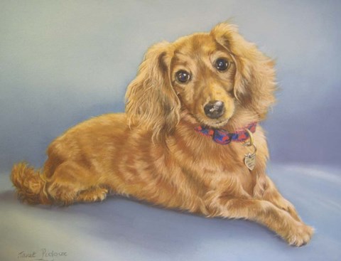 Framed Sophie, Blue Background Print