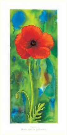 Framed Papavero Print
