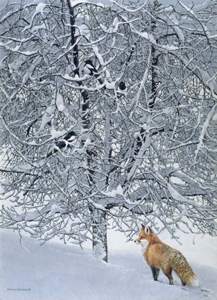 Framed Fox In Snow Print