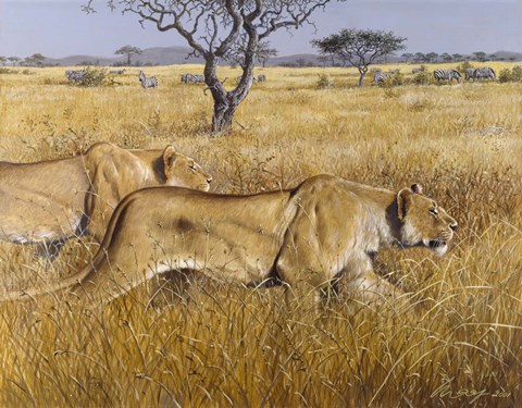 Framed Hunting Lions Print