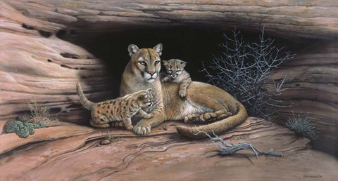 Framed Mountain Lions Print