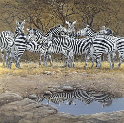 Framed Zebras Print