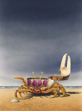 Framed Fiddler Crab Print
