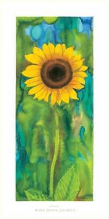 Framed Girasole Print