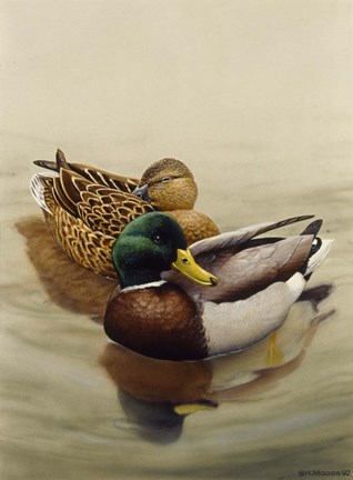 Framed Mallard Print