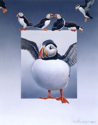 Framed Puffins Print