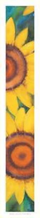 Framed Girasoli Print